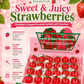 Strawberry lip balm